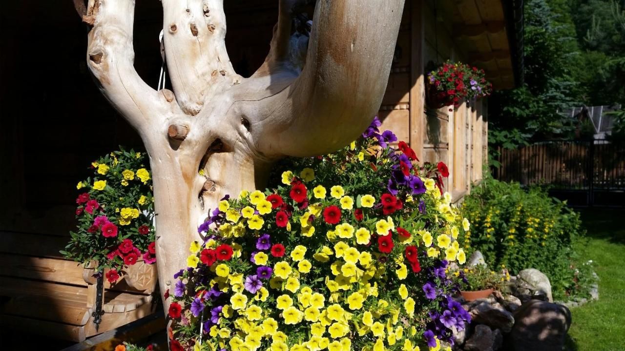 Дома для отпуска Domek Góralski Chatka Puchatka Поронин